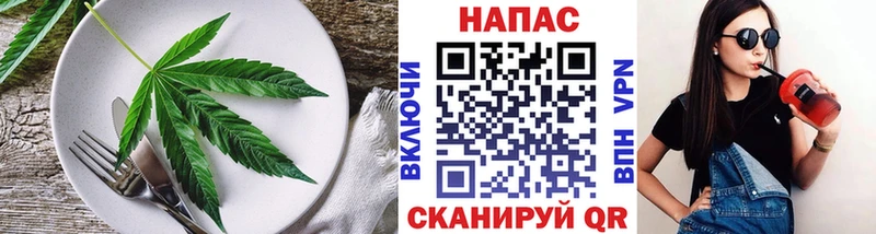 наркота  Нестеров  Canna-Cookies конопля 