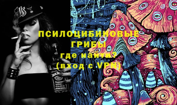 apvp Алзамай