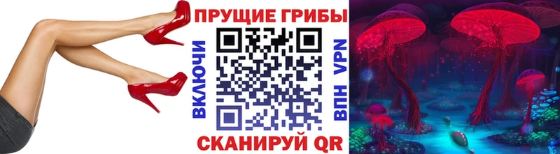Галлюциногенные грибы Psilocybine cubensis  закладка  МЕГА ссылки  Нестеров 